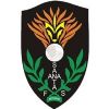 Escudo del Santa Ana