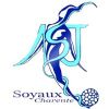 Escudo del Soyaux