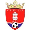 Escudo del Criuleni