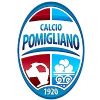 Escudo del Associazione Sportiva Dilettantistica Calcio Pomigliano
