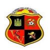 Escudo del Club Deportivo Sport Villa de Vallecas
