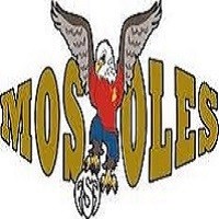 Escudo del Fútbol Sala Femenino Móstoles