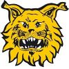 Escudo del Tampereen Ilves