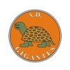 Escudo del Agrupación Deportiva Gigantes