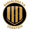 Escudo del Barcelona Football Academy