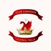 Escudo del Alboraya Fútbol Sala