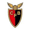 Escudo del Clube Futebol Benfica