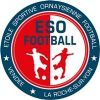 Escudo del Étoile Sportive Ornaysienne de Football Vendée La Roche-sur-Yon