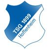 Escudo del TSG 1899 Hoffenheim Fußball-Spielbetriebs GmbH