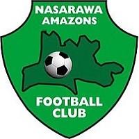 Escudo del Nasarawa Amazons Football Club