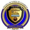 Escudo del Fútbol Base Club Deportivo Catarroja